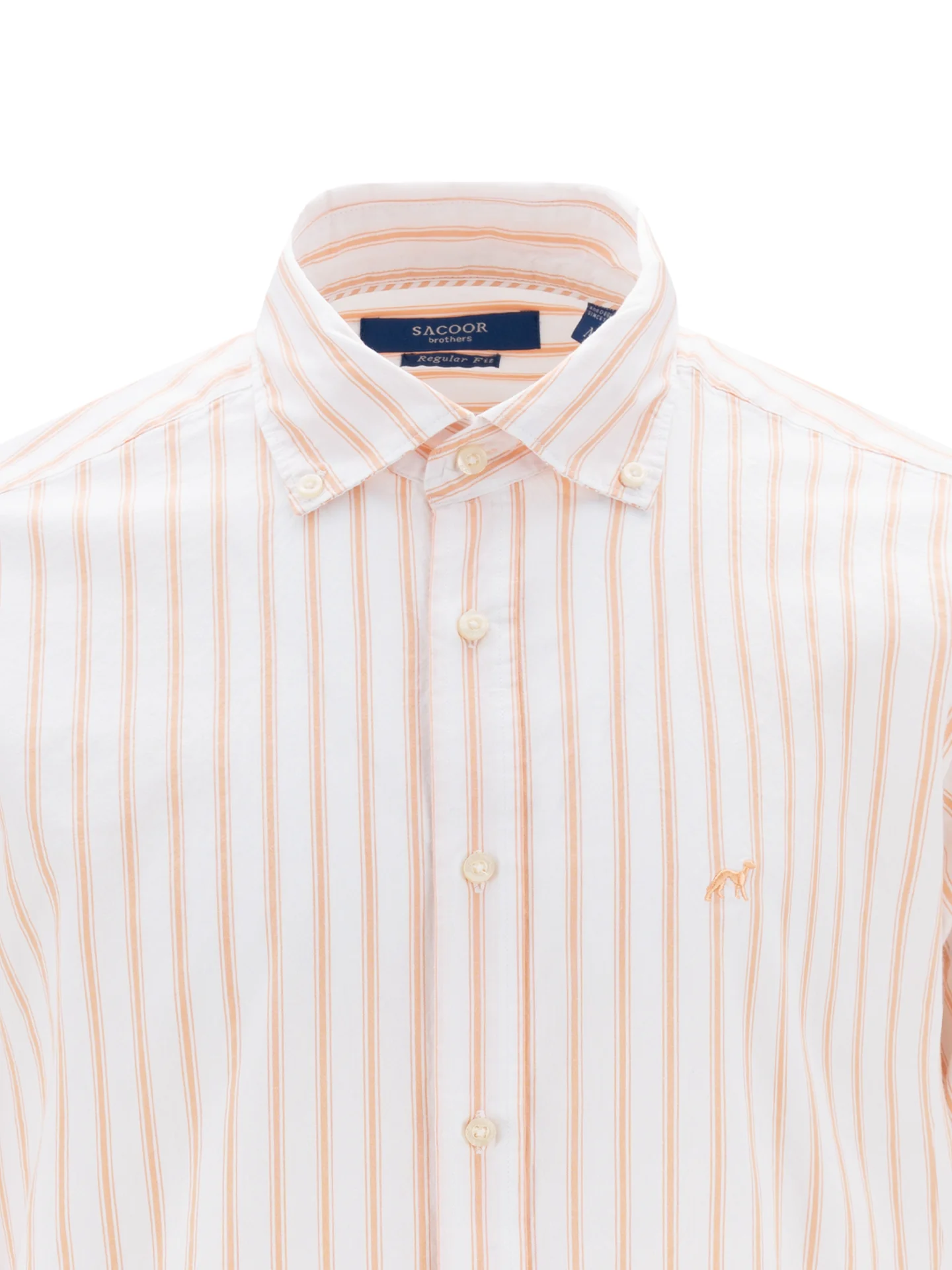 Shirt Sport Man Sport (Regular) - Image 3